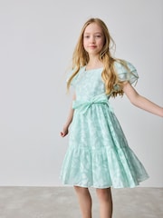 Baker by Ted Baker Mint Green Floral Burnout Dress - Image 1 of 12