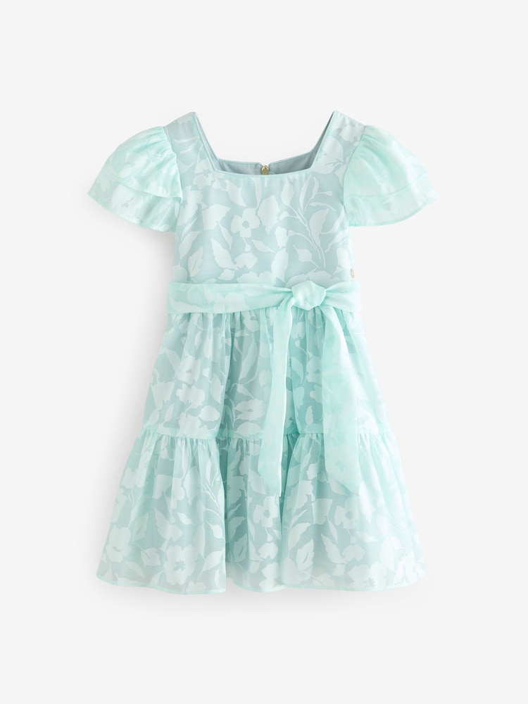 ted baker mint green maxi dress Mint Maxi Dress main image 1