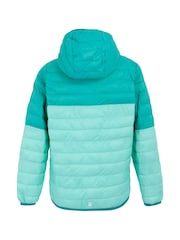 Regatta Blue Kids Hooded Hillpack III Padded Jacket - Image 7 of 8