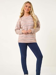 Roman Pink Petite Space Dye Knit Jumper - Image 1 of 5
