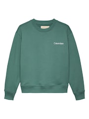 Calvin Klein Green 100% Cotton City Scene Backprint Swearshirt - Image 1 of 2