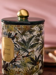 Clarke and Clarke Green Toucan Scented Candle - Image 2 of 3