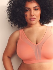 Terracotta Total Support Non Wire Ultimate Comfort Bra B-H - Image 4 of 5