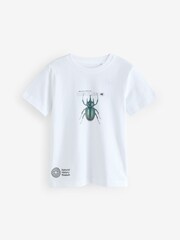 White Beetles Natural History Museum Short Sleeve 100% Cotton T-Shirt (3-16yrs) - Image 1 of 4