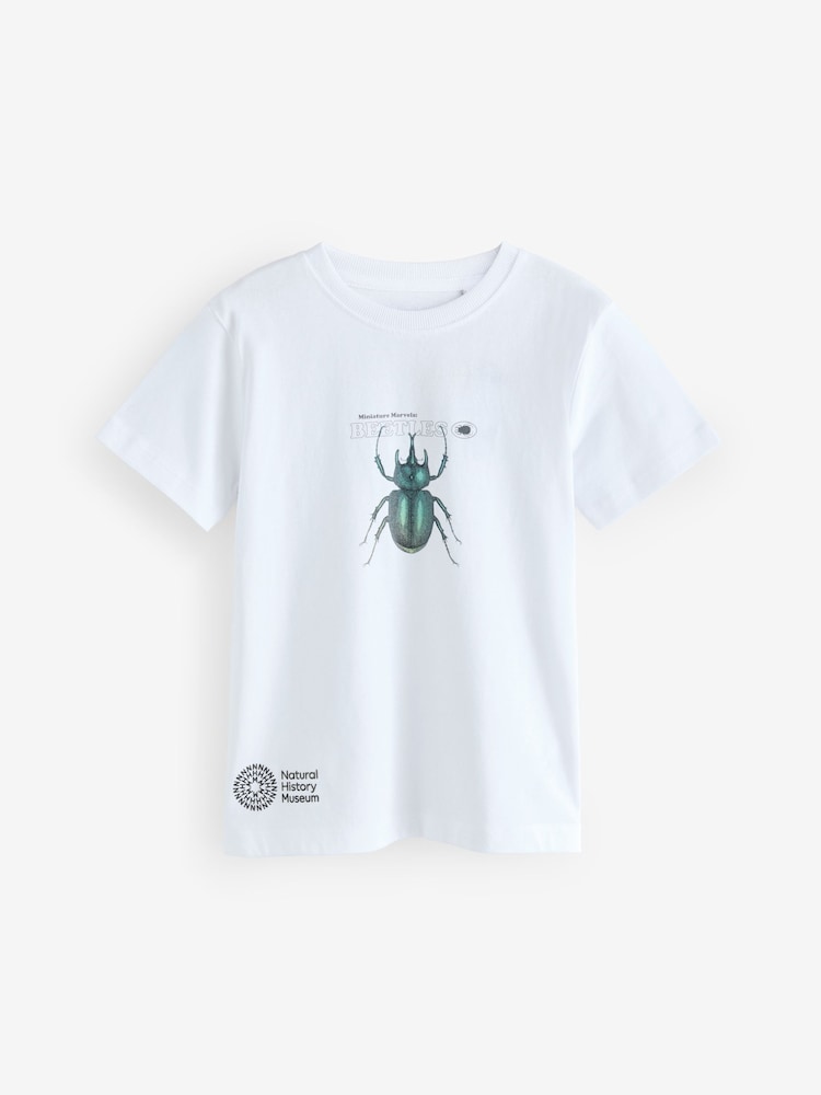 White Beetles Natural History Museum Short Sleeve 100% Cotton T-Shirt (3-16yrs) - Image 1 of 4