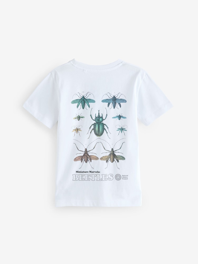 White Beetles Natural History Museum Short Sleeve 100% Cotton T-Shirt (3-16yrs) - Image 2 of 4