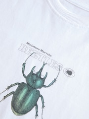 White Beetles Natural History Museum Short Sleeve 100% Cotton T-Shirt (3-16yrs) - Image 3 of 4