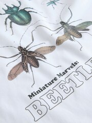 White Beetles Natural History Museum Short Sleeve 100% Cotton T-Shirt (3-16yrs) - Image 4 of 4