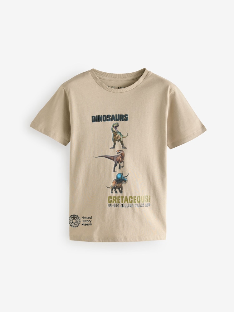 Stone Natural History Museum Short Sleeve 100% Cotton T-Shirt (3-16yrs) - Image 1 of 6