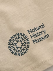 Stone Natural History Museum Short Sleeve 100% Cotton T-Shirt (3-16yrs) - Image 6 of 6