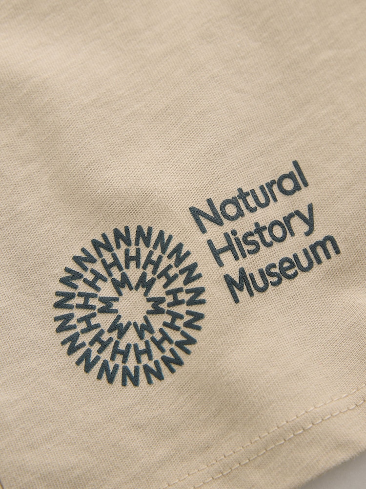 Stone Natural History Museum Short Sleeve 100% Cotton T-Shirt (3-16yrs) - Image 6 of 6