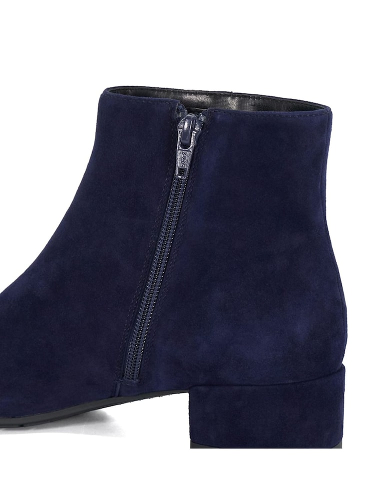 modra - elegantni nizki škornji Dune London Pippie - Slika 6 iz 6 modra - elegantni nizki škornji Dune London Pippie - Slika 6 iz 6