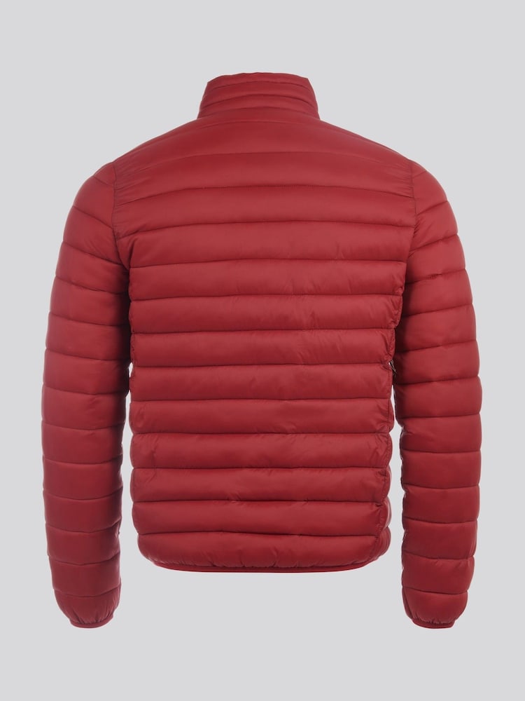 Roșu - U.S. Polo Assn. Jachetă matlasate ușor Bărbați - Image 3 of 6