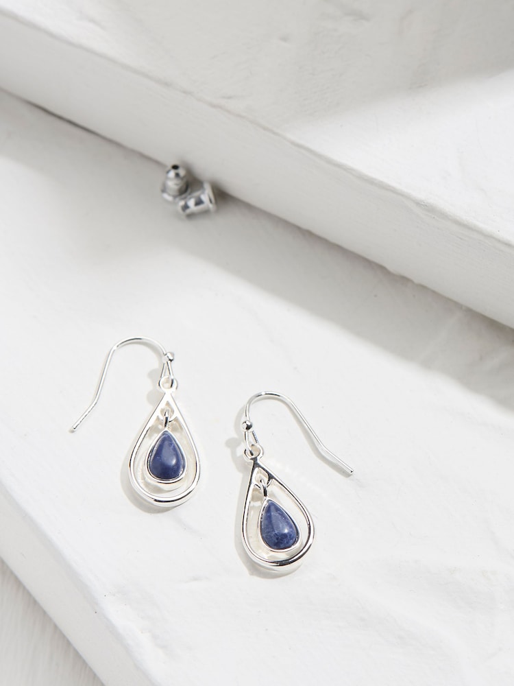 FatFace Navy Tear Drop Earrings - Image 1 of 2