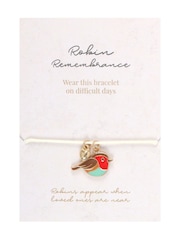 Something Different Brown Robin Remembrance Gift Set - Image 6 of 7