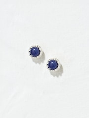 FatFace Navy Stone Stud Earrings - Image 1 of 2