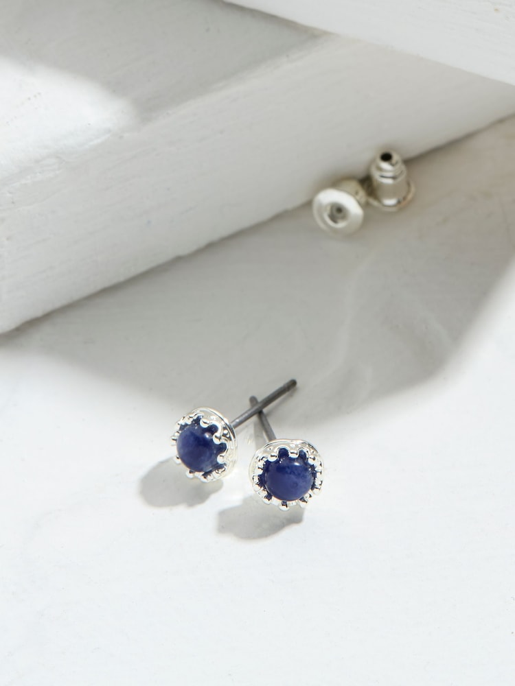 FatFace Navy Stone Stud Earrings - Image 2 of 2