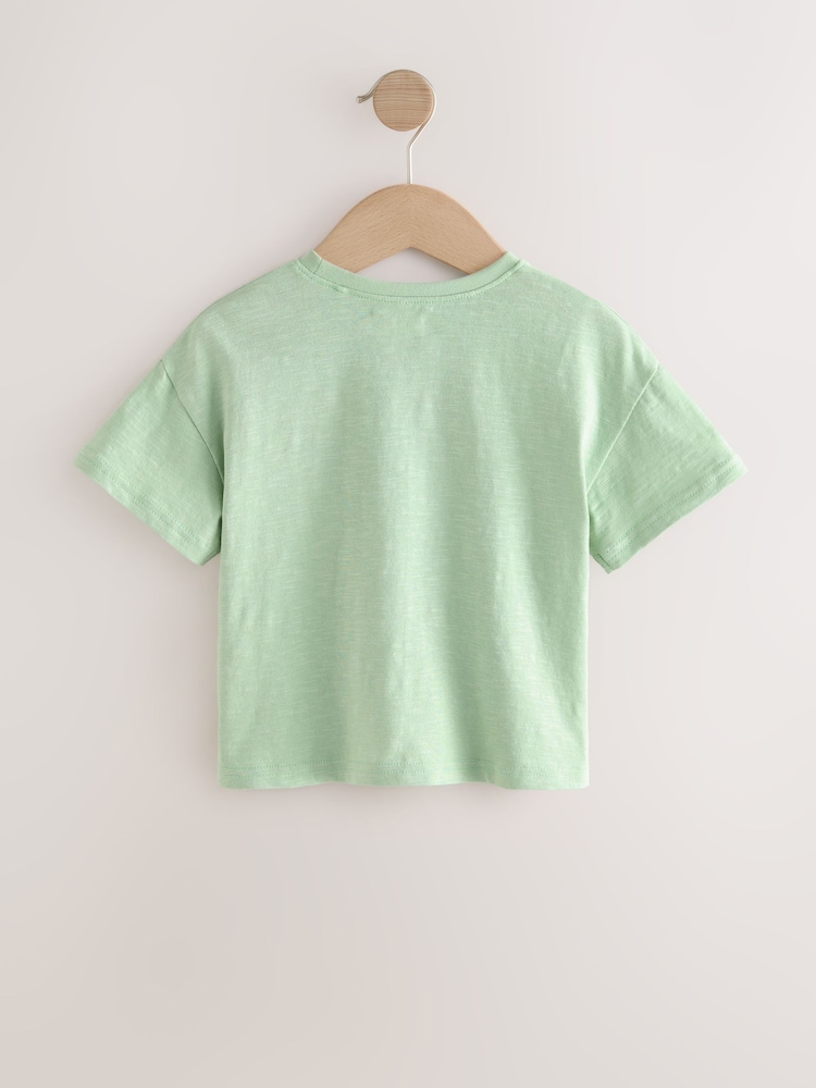Sage Green 100% Cotton Short Sleeve Embroidered Pocket T-Shirt (3mths-7yrs) - Image 5 of 7