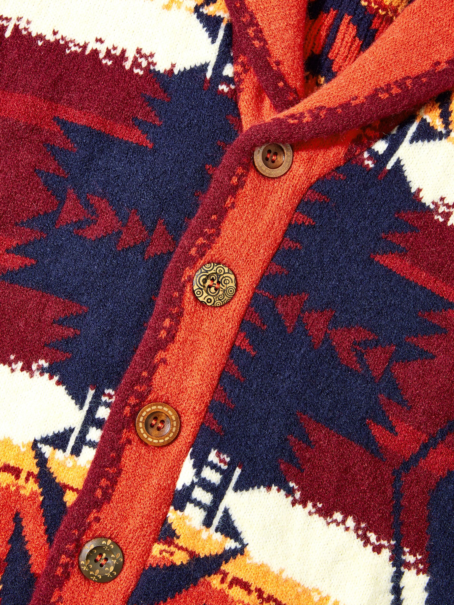 Buy Joe Browns Orange Knitted Shawl Neck Cardigan from Next USA