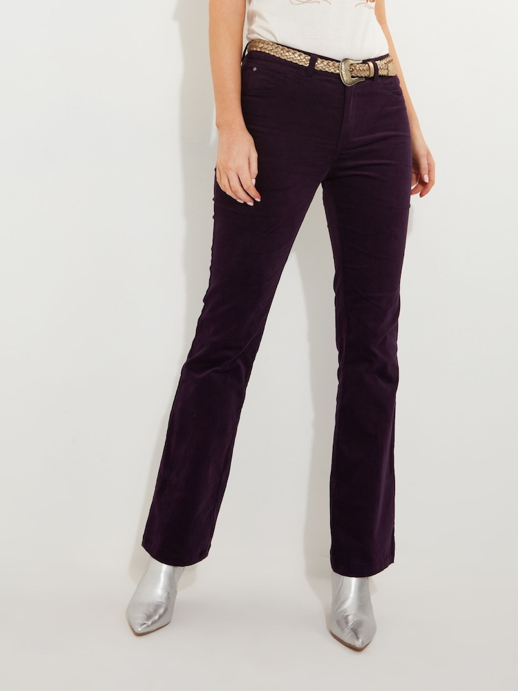 Joe Browns Purple Bootcut Moleskin Trousers - Image 1 of 5