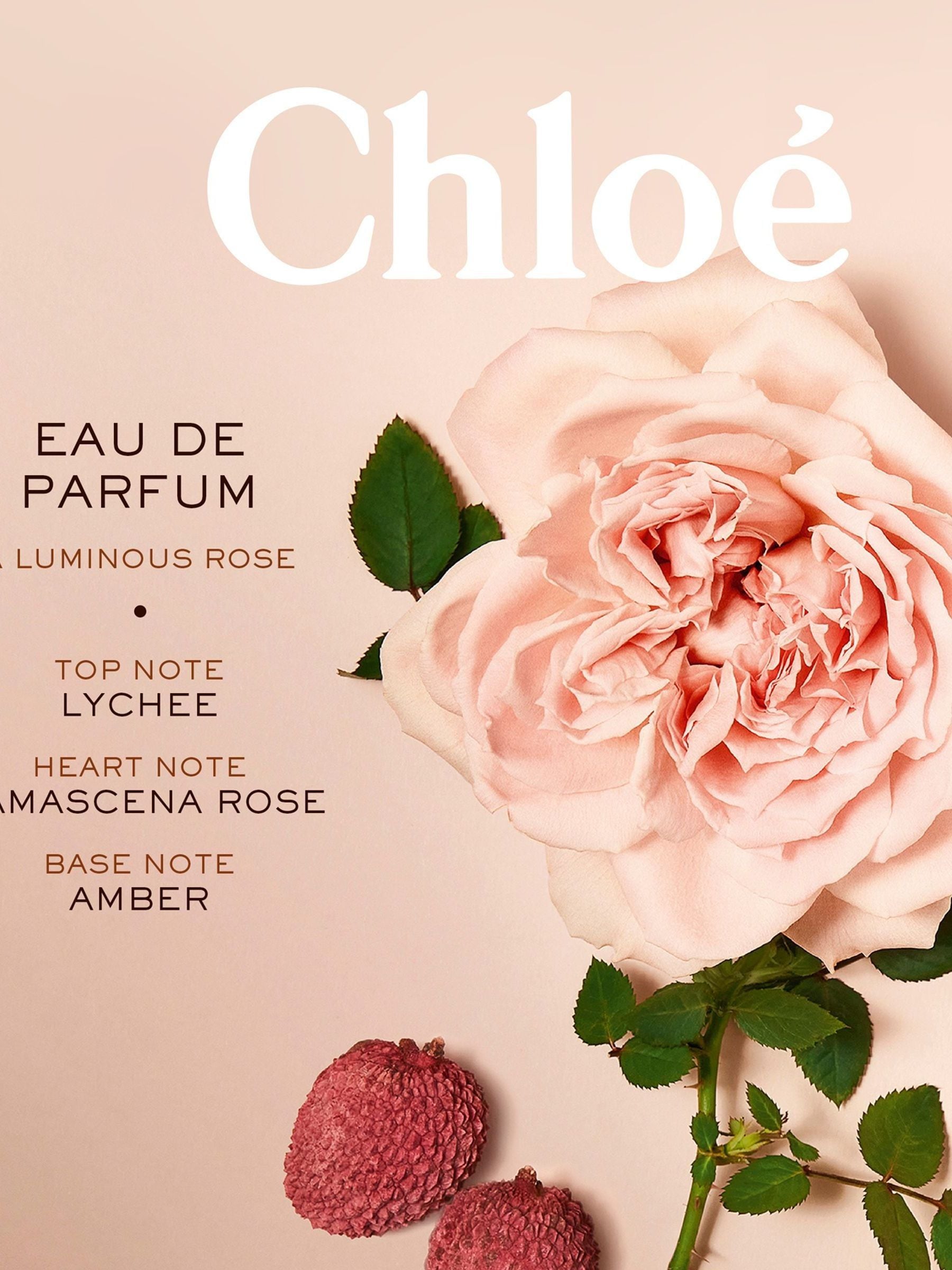 Buy Chloé Eau de Parfum 30ml from the Next UK online shop