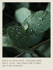 Aveda of Intention Hand Relief™ Trio Gift Set (Worth £24) - Image 3 of 5