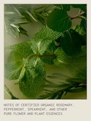 Aveda of Intention Hand Relief™ Trio Gift Set (Worth £24) - Image 4 of 5