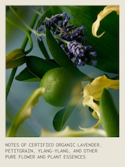 Aveda of Intention Hand Relief™ Trio Gift Set (Worth £24) - Image 5 of 5