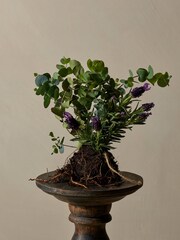 Cowshed Calming Essentials Set - Image 2 of 3