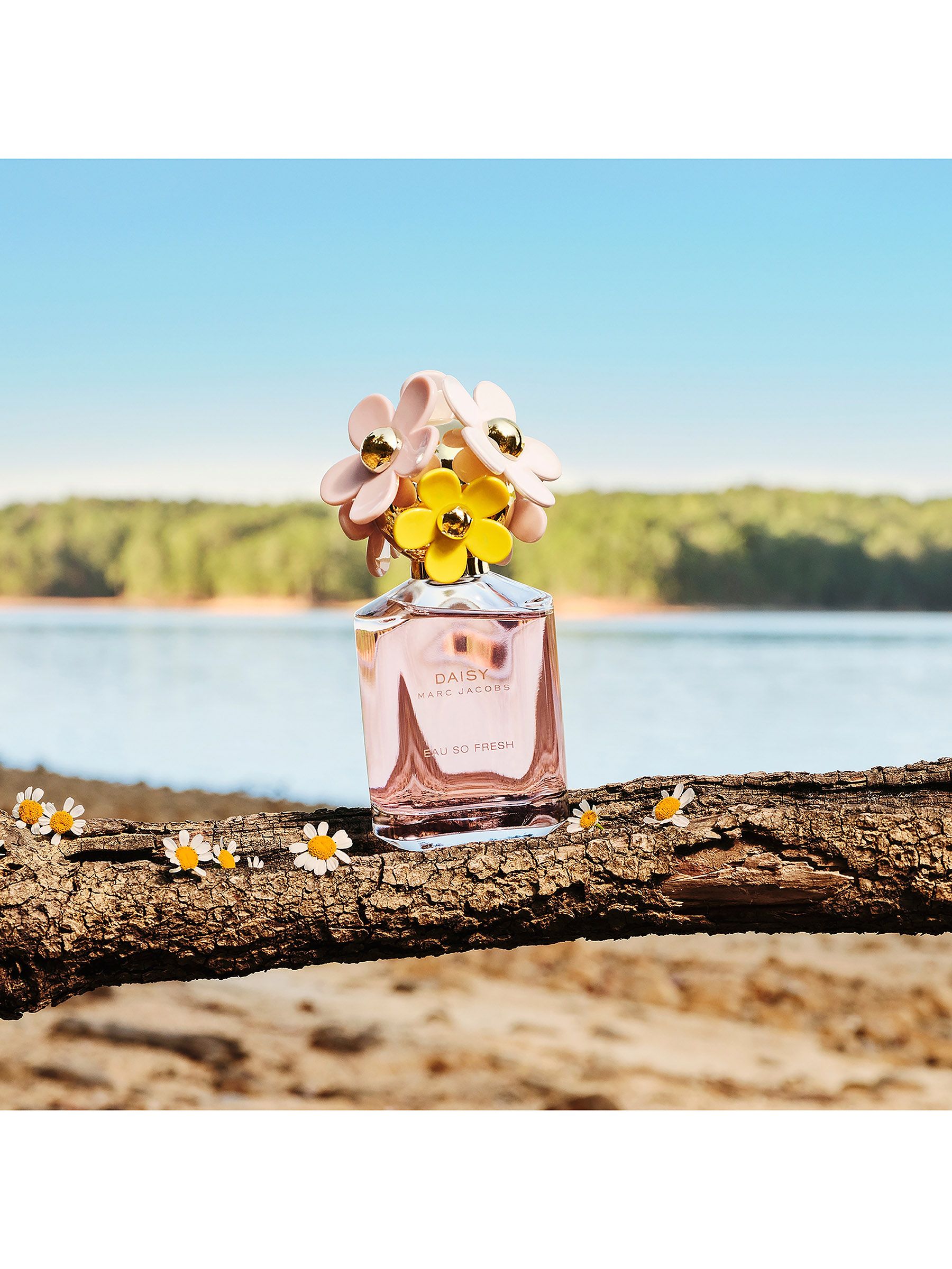 Buy Marc Jacobs Daisy Eau So Fresh Eau De Toilette 30ml from the