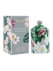 Stoneglow Urban Botanicals Frangipani & Neroli Blossom Ceramic Candle - Image 1 of 2