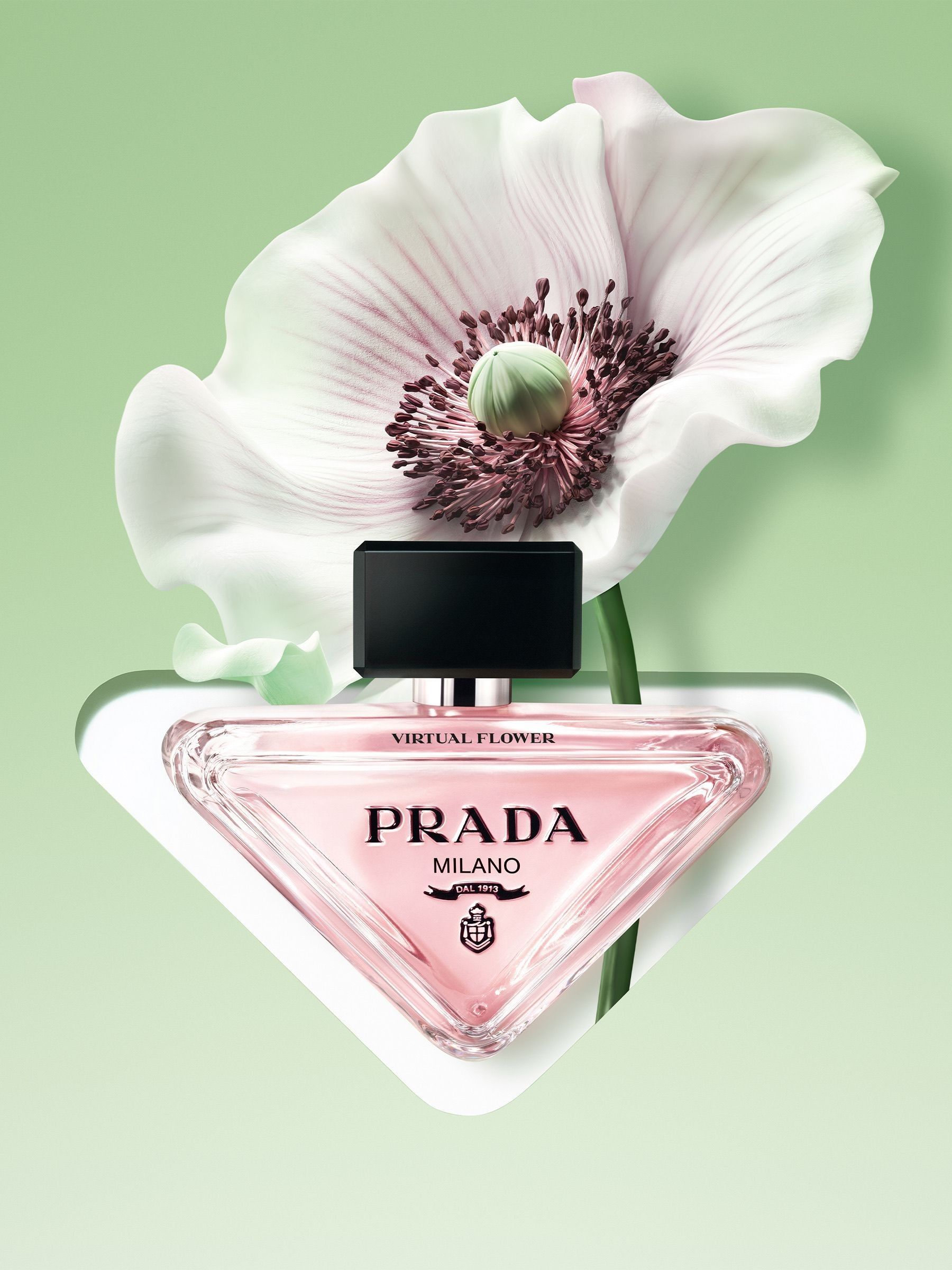 PRADA PARADOXE 50ml 未開封 プラダ PRADA PARADOXE パラドックス オードパルファム 50ml