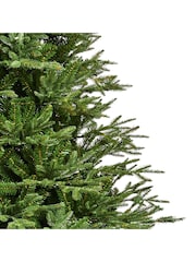 Premier Decorations Ltd Silverthorne Pine Christmas 7ft Tree - Image 3 of 5