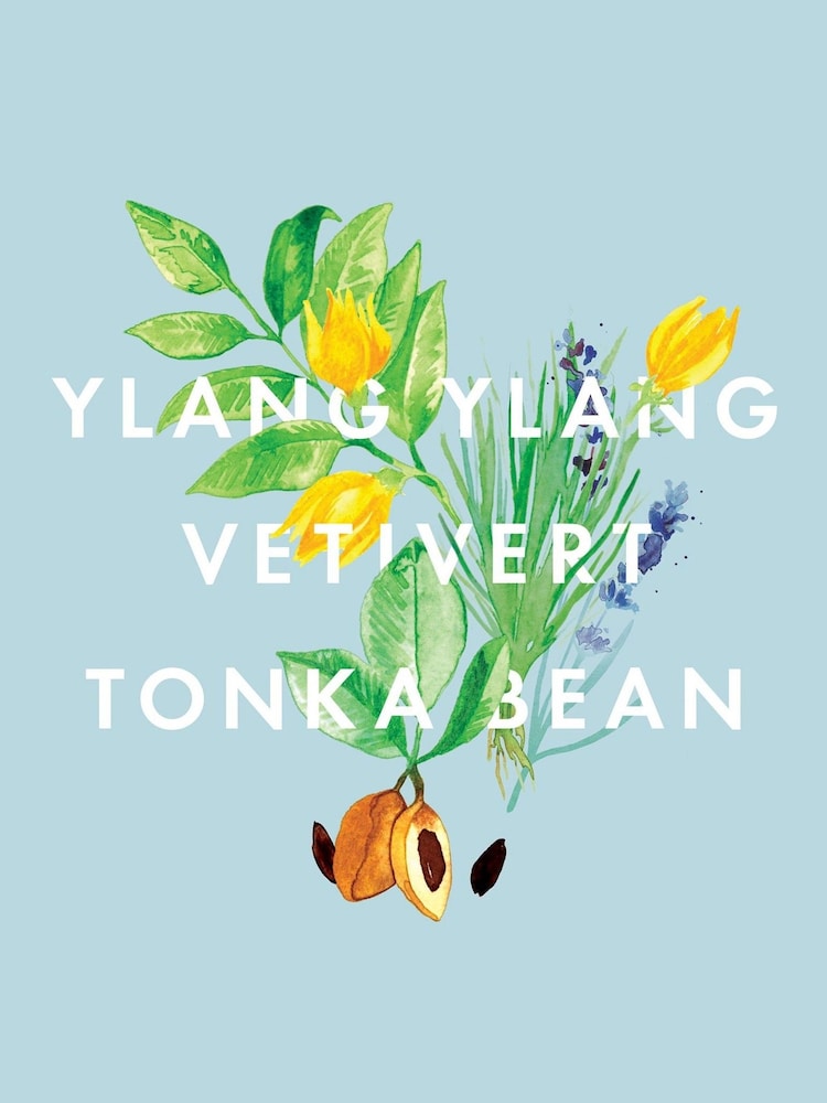 NEOM Ylang Ylang, Vetivert & Tonka Bean Essential Oil Blend 10ml - Image 4 of 4