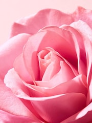 Nuxe Very Rose Cream Corps 400ml - Image 3 of 4