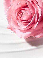 Nuxe Very Rose Creamy Milk Makeup Remover 200ml - Image 4 of 4