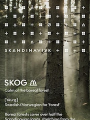 Skandinavisk Black SKOG Diffuser Refill 200ml - Image 3 of 3
