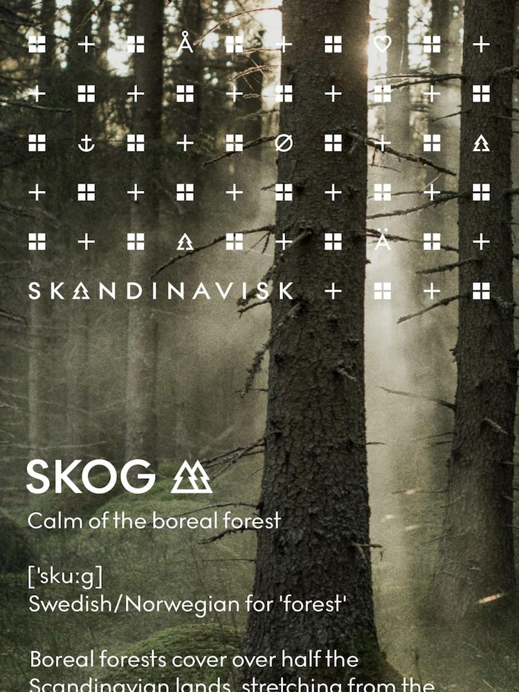 Skandinavisk Black SKOG Diffuser Refill 200ml - Image 3 of 3