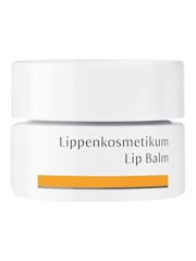 Dr. Hauschka Lip Balm - Image 1 of 1
