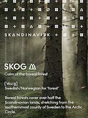 Skandinavisk SKOG Diffuser 200ml - Image 5 of 5