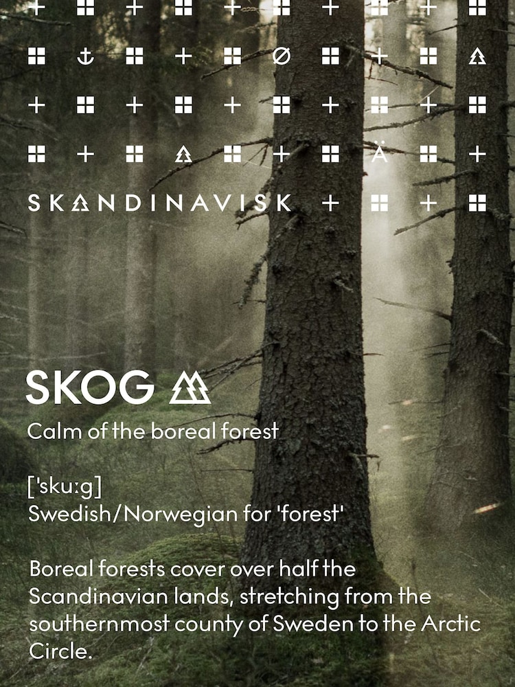 Skandinavisk SKOG Diffuser 200ml - Image 5 of 5