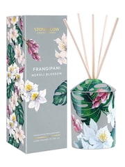 Stoneglow Urban Botanics Coconut & Lime Zest Reed Diffuser - Image 1 of 2