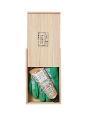 William Morris At Home Golden Lily Gardening Gloves Set - Image 4 of 5