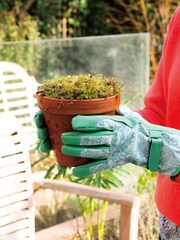 William Morris At Home Golden Lily Gardening Gloves Set - Image 5 of 5