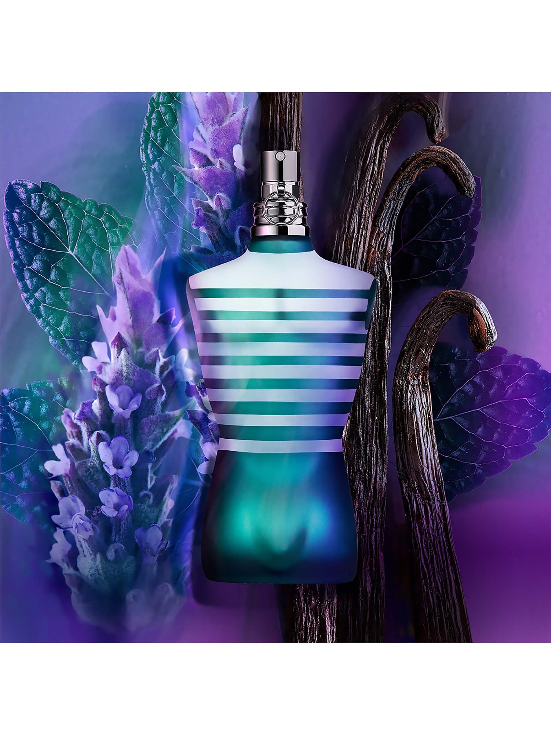 Buy Jean Paul Gaultier 75ml Le Male Eau de Toilette from the Next