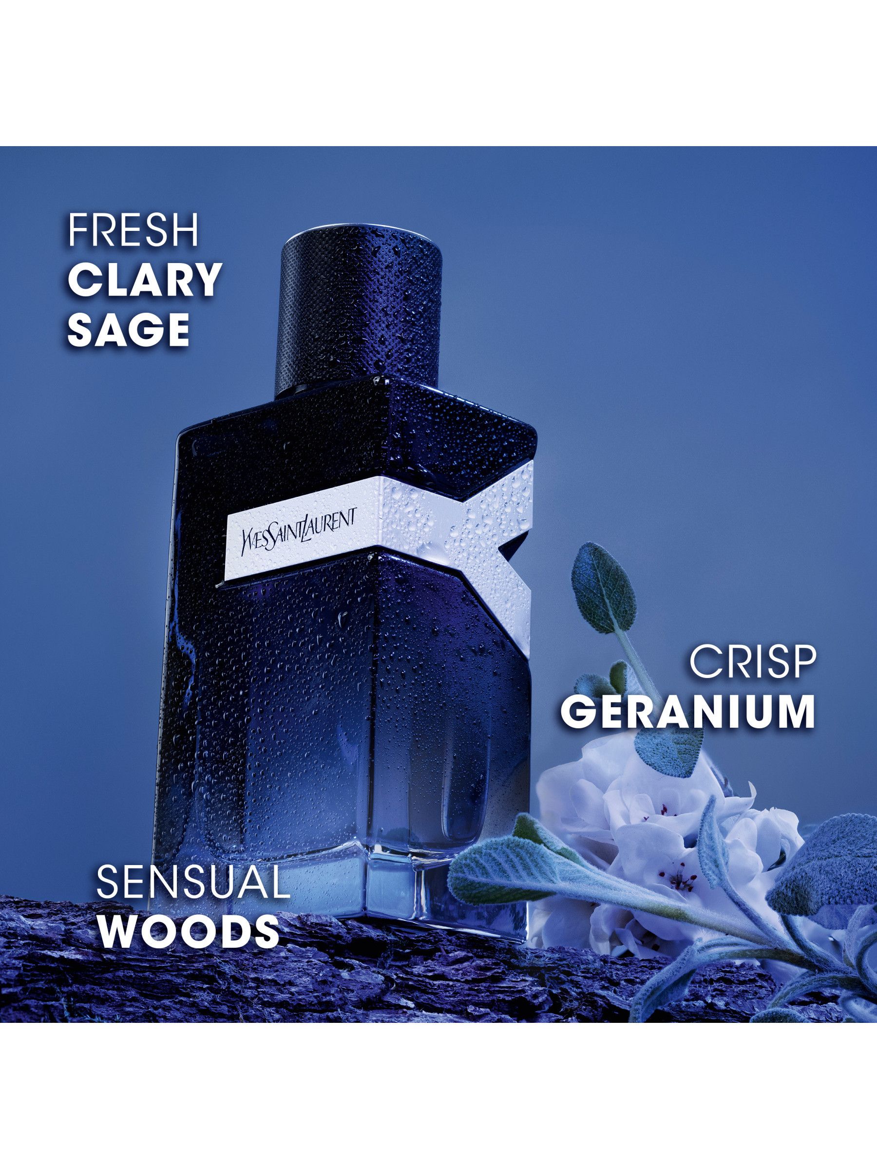 Buy Yves Saint Laurent Y Eau de Parfum 100ml from the Next UK