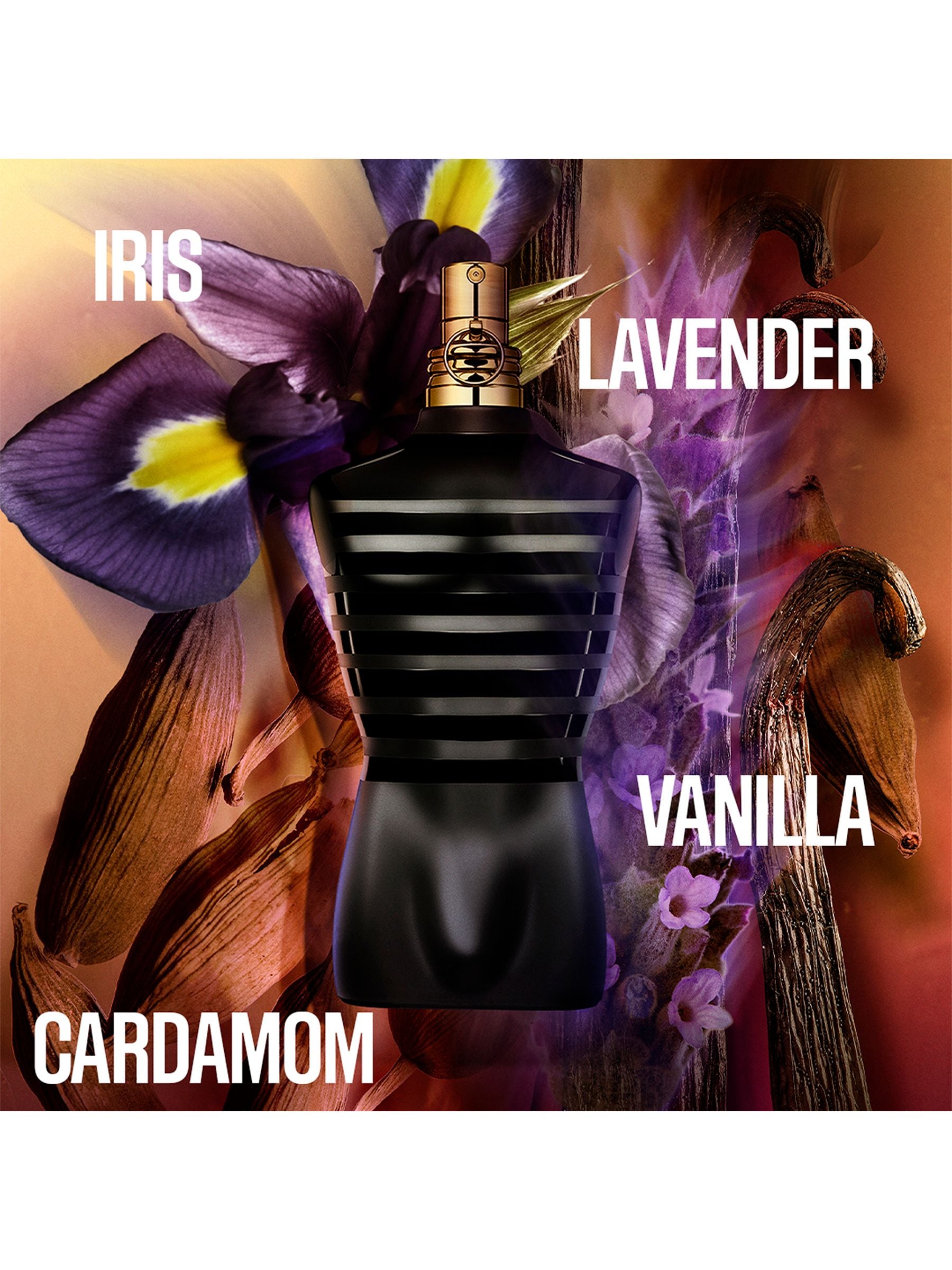 Buy Jean Paul Gaultier Le Male Le Parfum 75ml from the Next UK