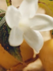 Chloé Nomade Jasmin Naturel Intense Eau de Parfum 75ml - Image 3 of 5