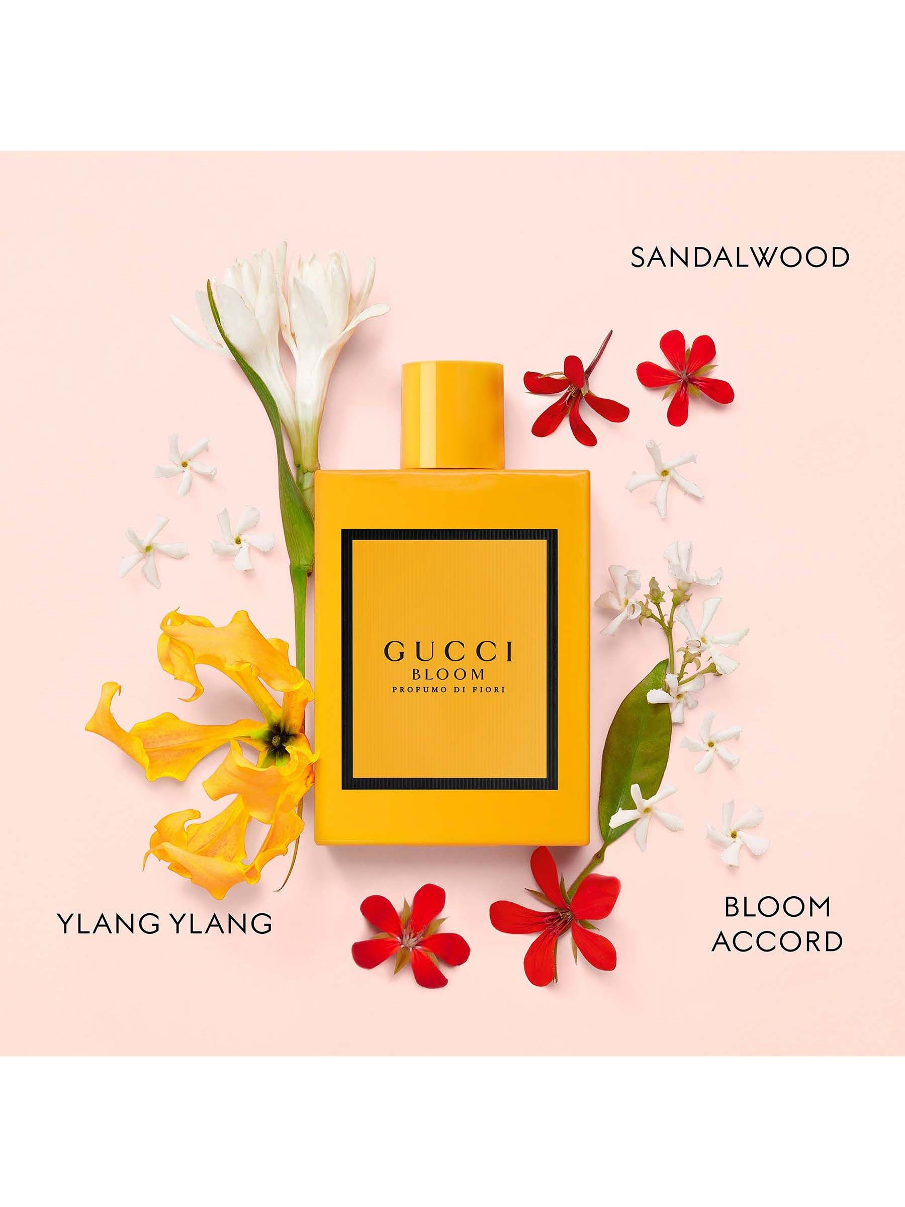 Buy Gucci Bloom Profumo di Fiori Eau de Parfum 50ml from the Next