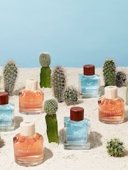 Hollister Canyon Escape for Her Eau de Parfum - Image 4 of 4